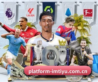 platform-imtiyu.com.cn APP